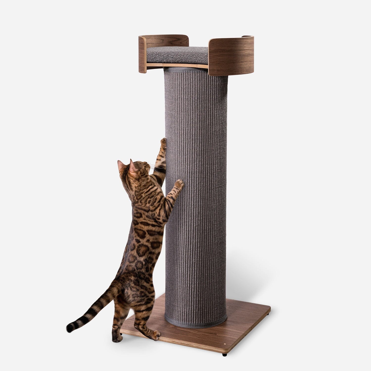 What are the Best Scratching Posts for Cats: Top Picks