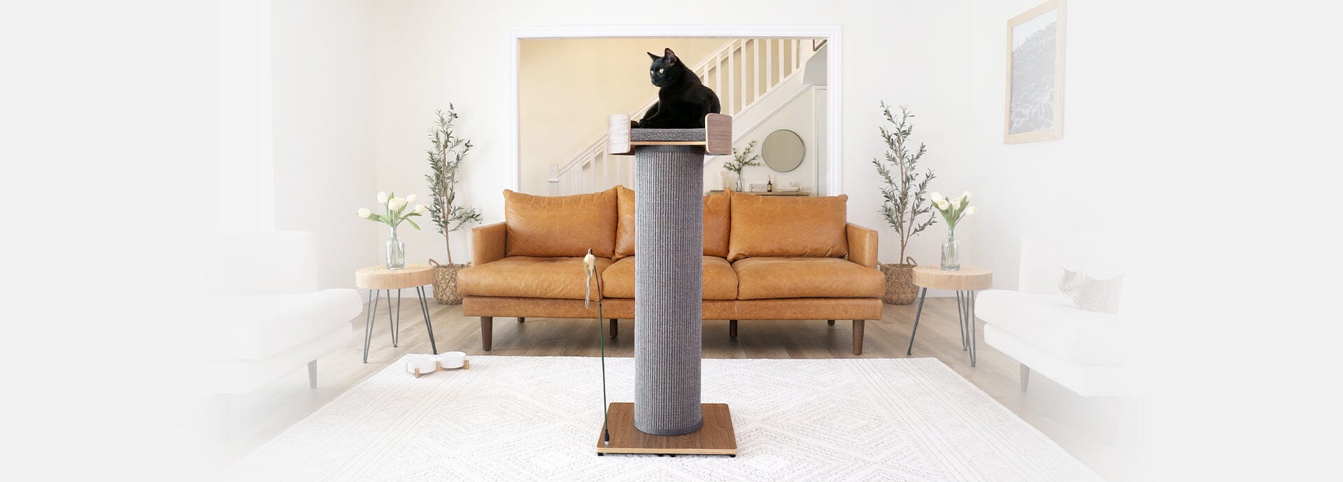 Cat Furniture