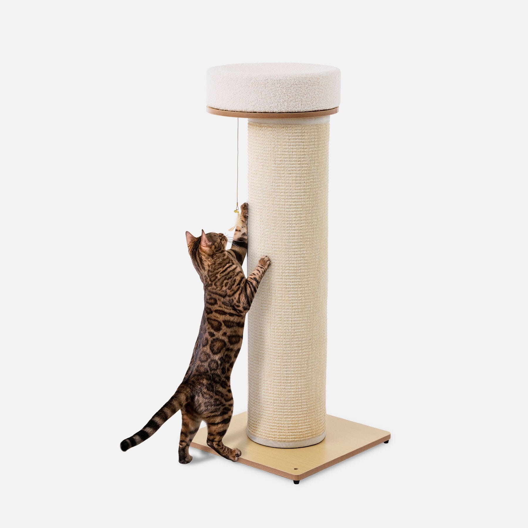 Giant Scratching Tower - Modern
