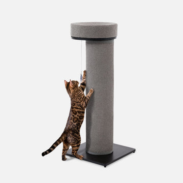 Giant Scratching Tower - Modern