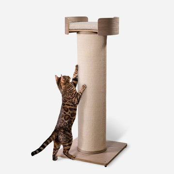 Giant Scratching Tower