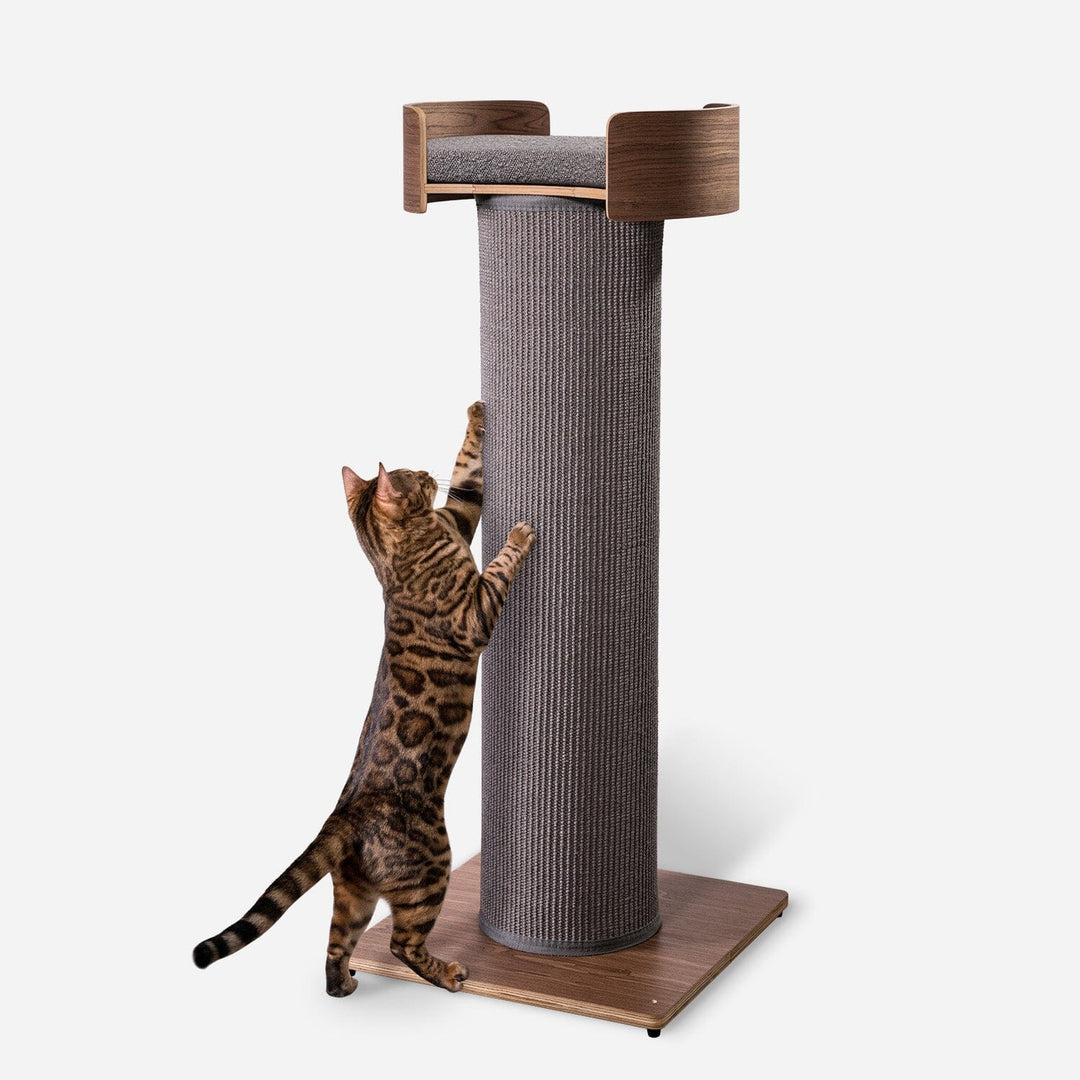 Giant Cat Tree by One Fast Cat