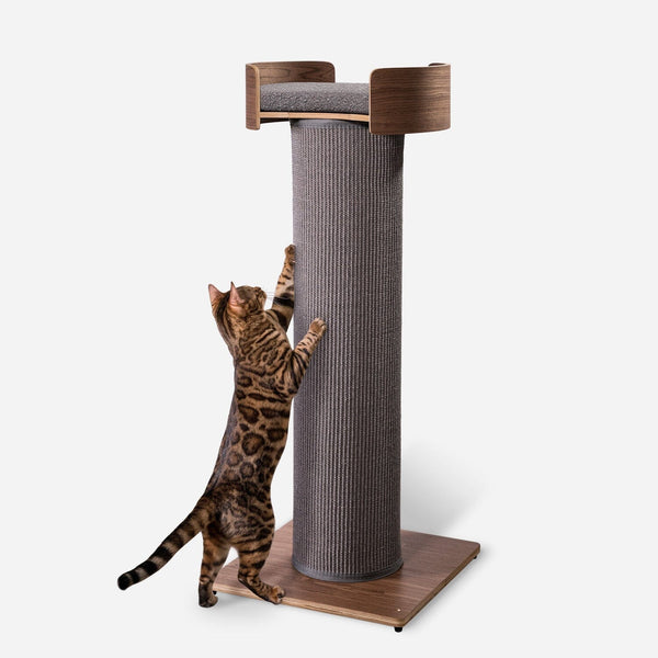 Cat Scratching Post Cat Tree Replacement Bed Cat Tree 260cm Tower