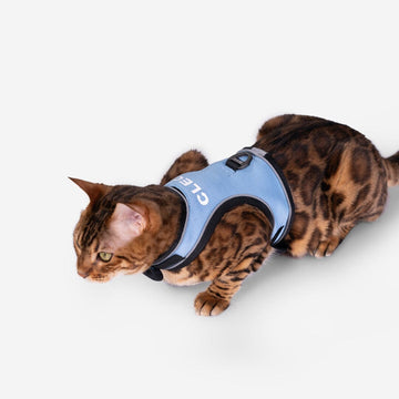 Cat Harness & Leash Kit