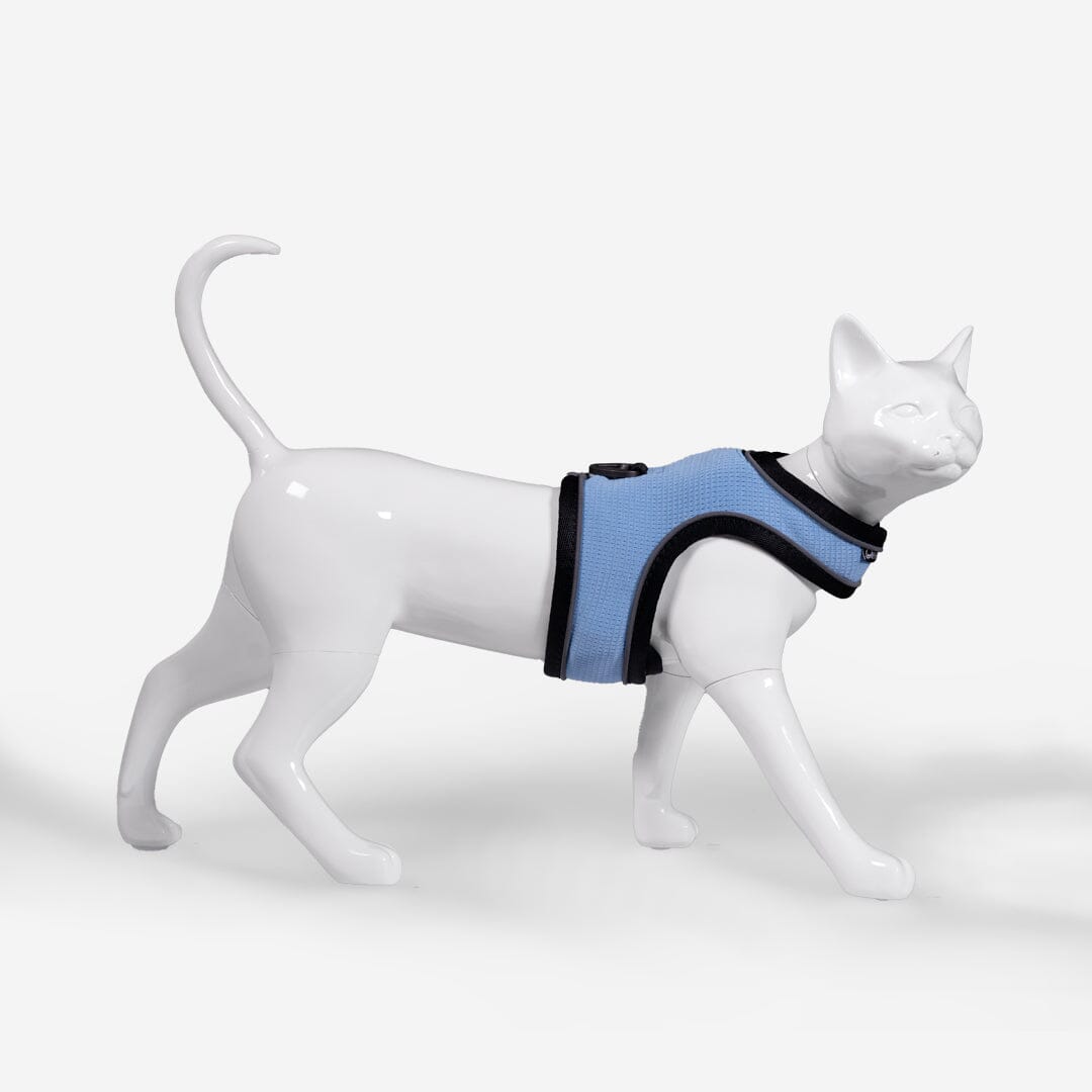 Cat Harness & Leash Kit One Fast Cat