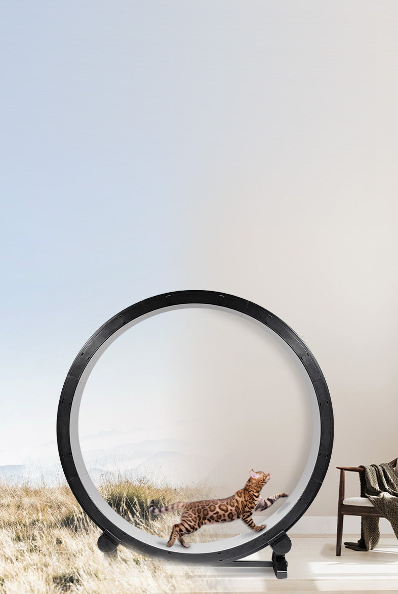 Cat Exercise Wheel · Interactive Cat Furniture · One Fast Cat