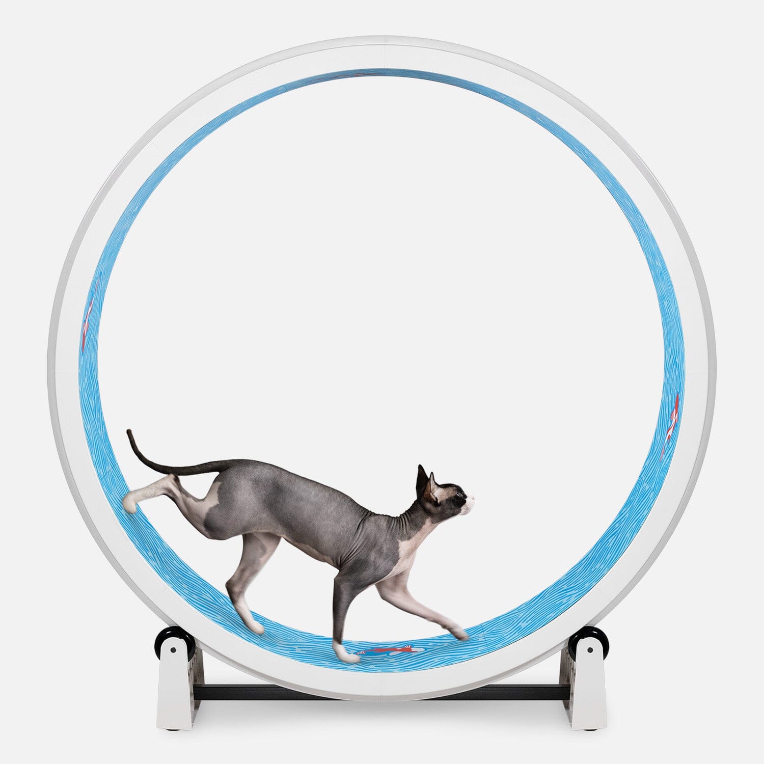 Cat Exercise Wheel by One Fast Cat Made in California