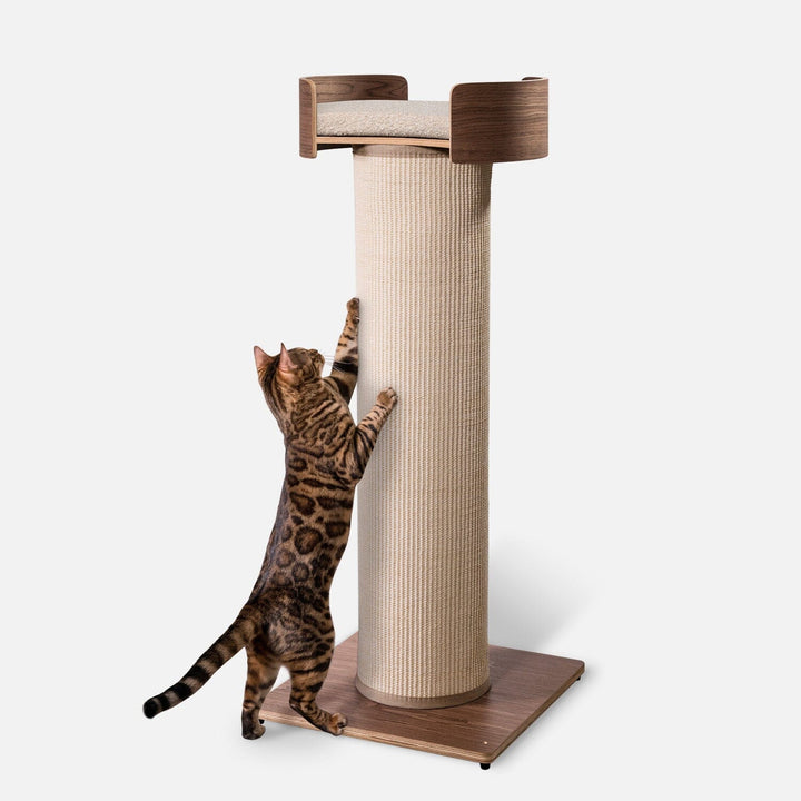 One Fast Cat Giant Scratching Tower