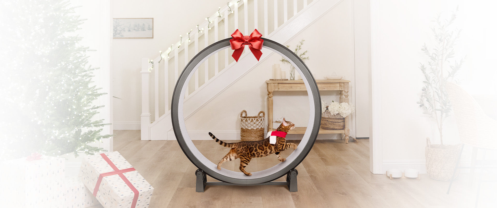 Cat Exercise Wheel · Giant Scratching Tower · One Fast Cat