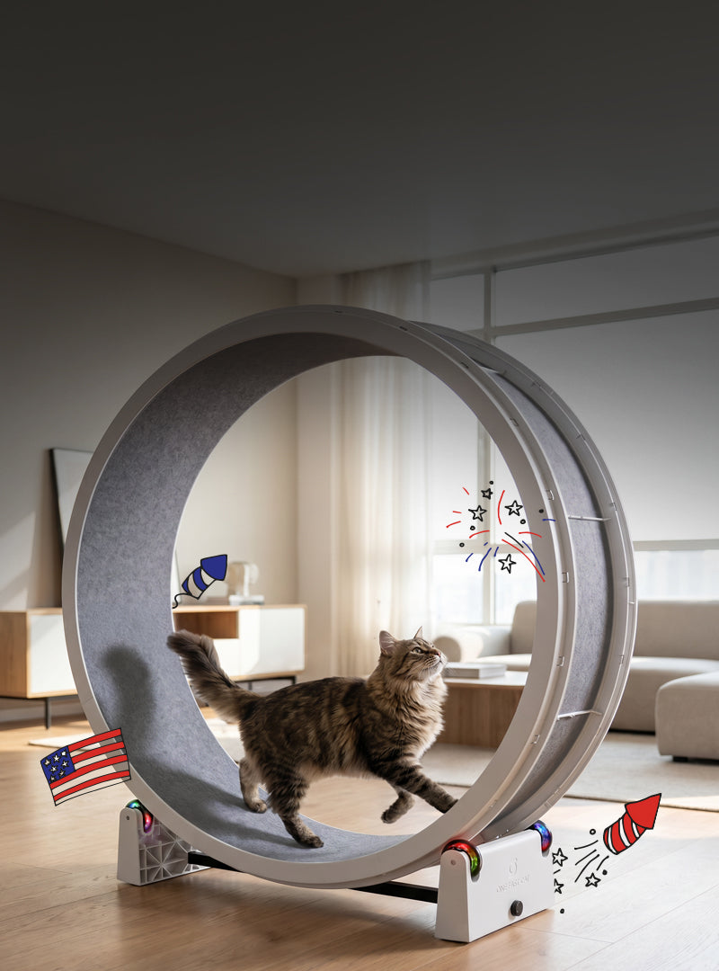 Cat Exercise Wheel · Giant Scratching Tower · One Fast Cat