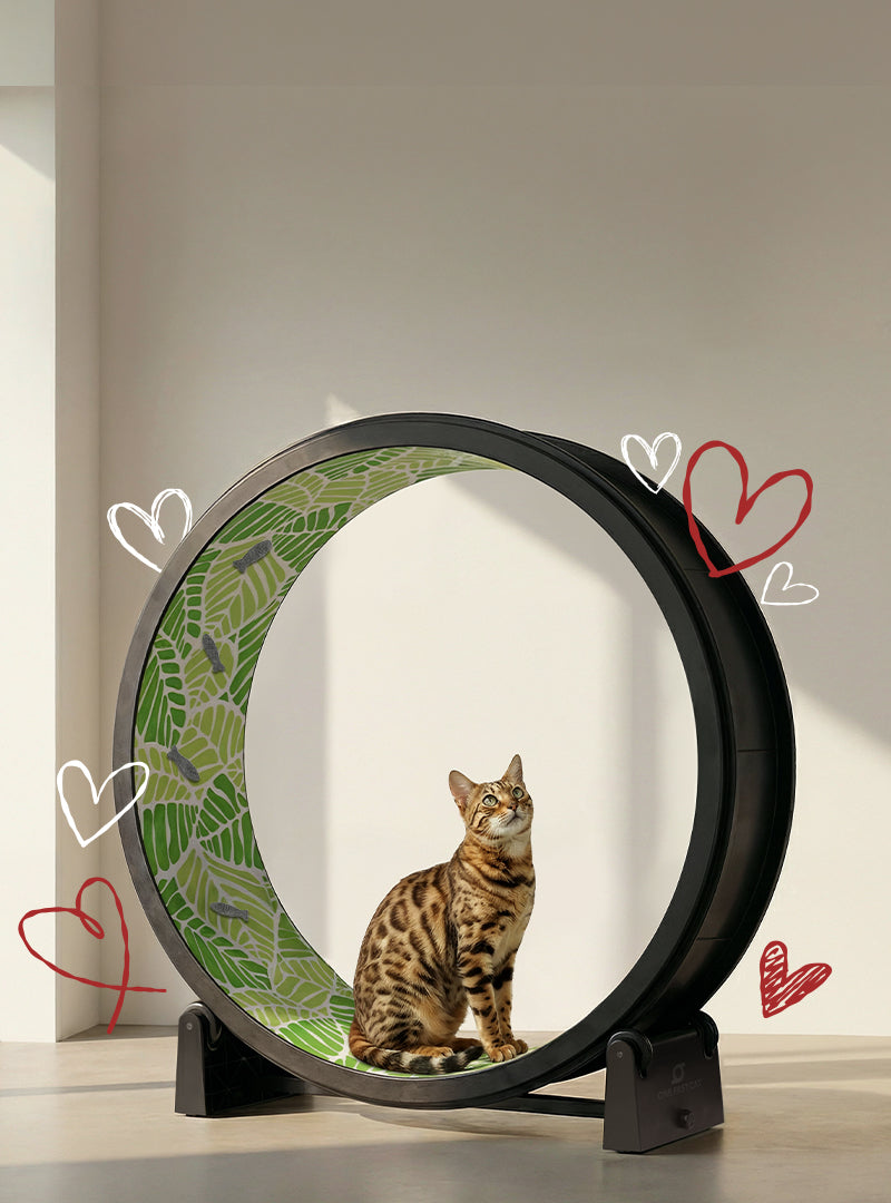 Cat Exercise Wheel · Giant Scratching Tower · One Fast Cat