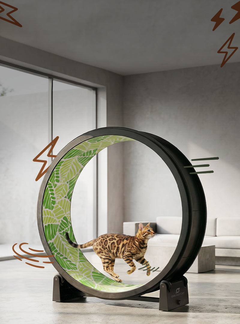 Cat Exercise Wheel · Giant Scratching Tower · One Fast Cat